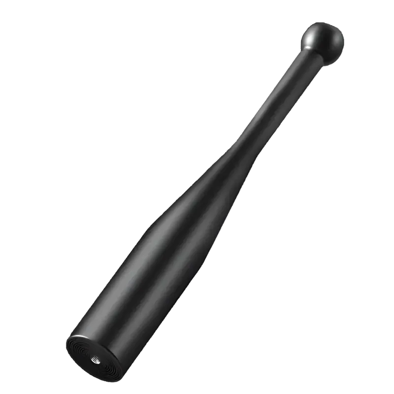 22lbs Iron Dumbbells Stick