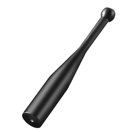 22lbs Iron Dumbbells Stick