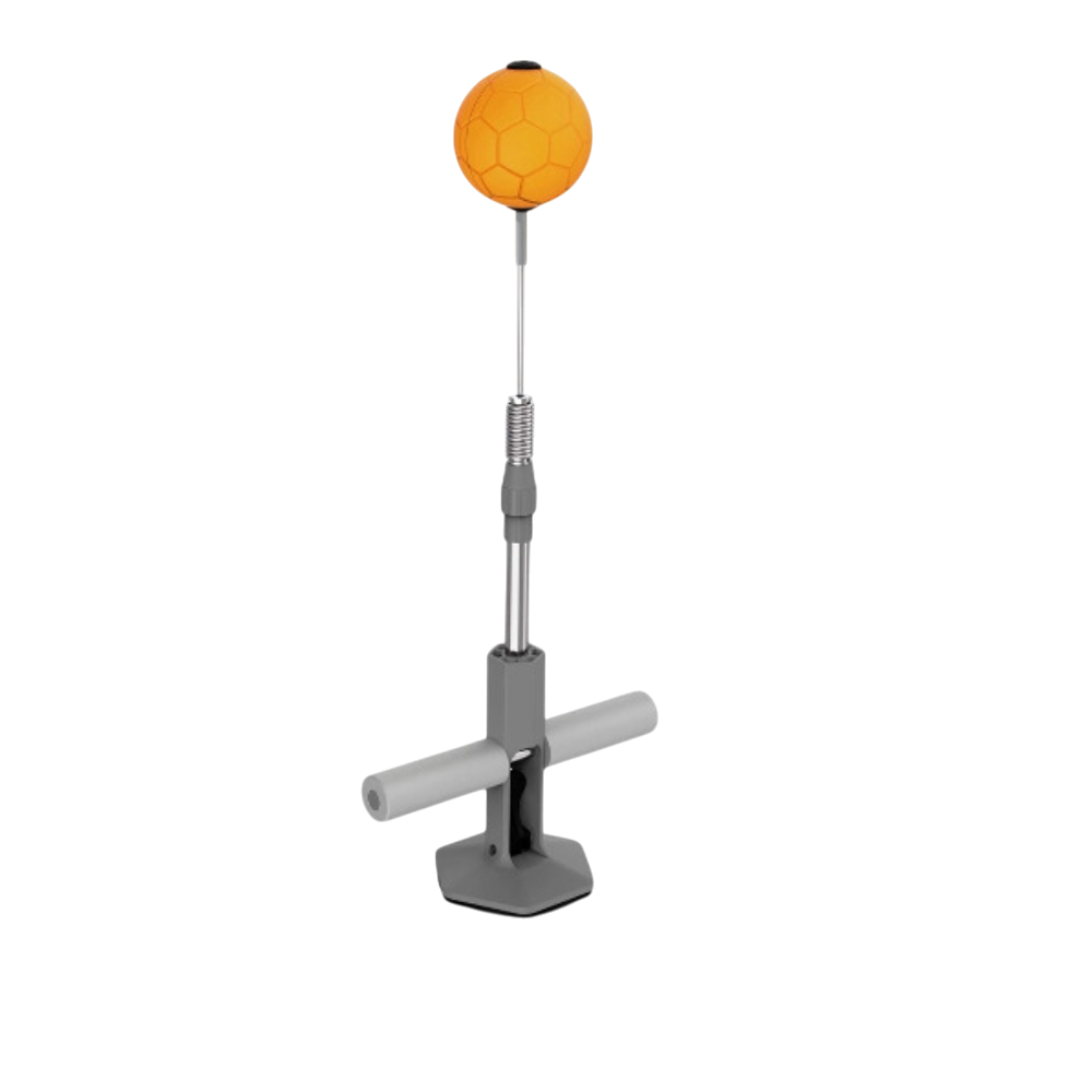 Vertical Boxing Speed Ball