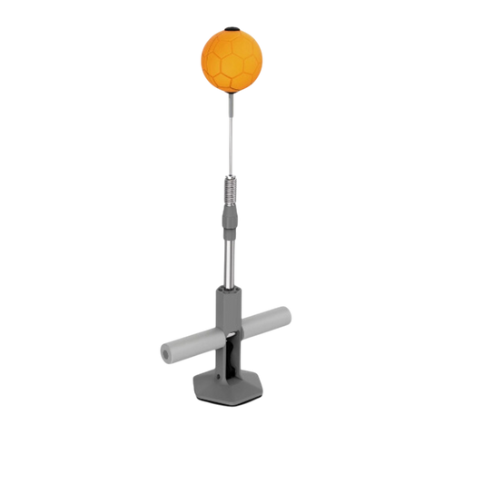 Vertical Boxing Speed Ball